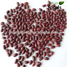 Large red speckled kidney beans